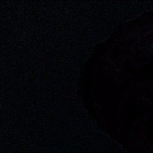 Meet your Posher, Daryl